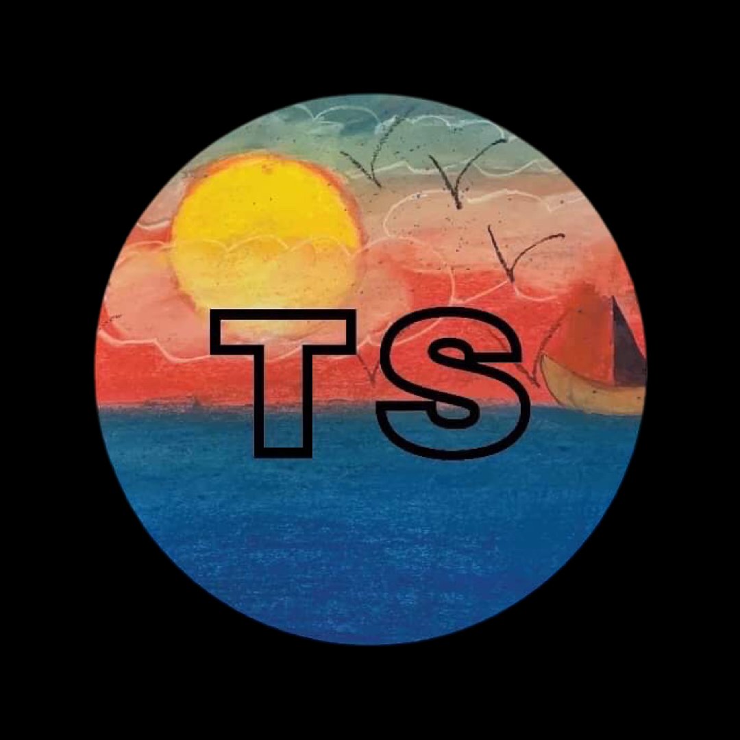 tsnellshairapparel.com